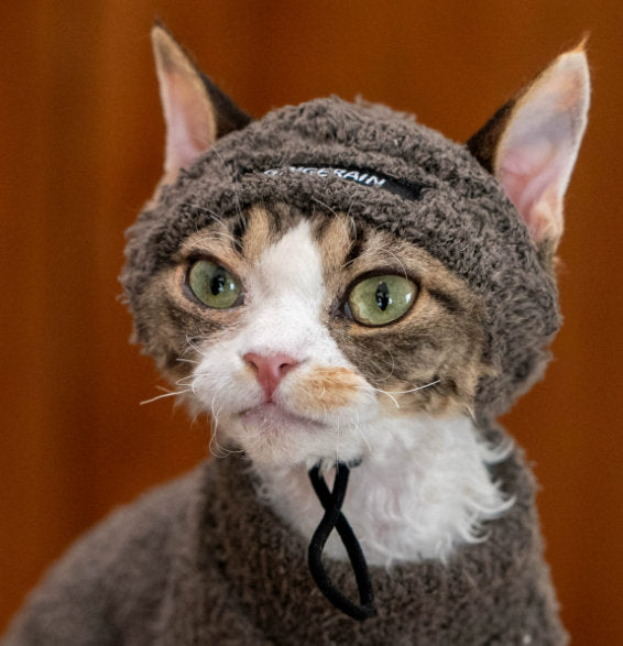 Winter Warm Pet Hat Plush Headwear