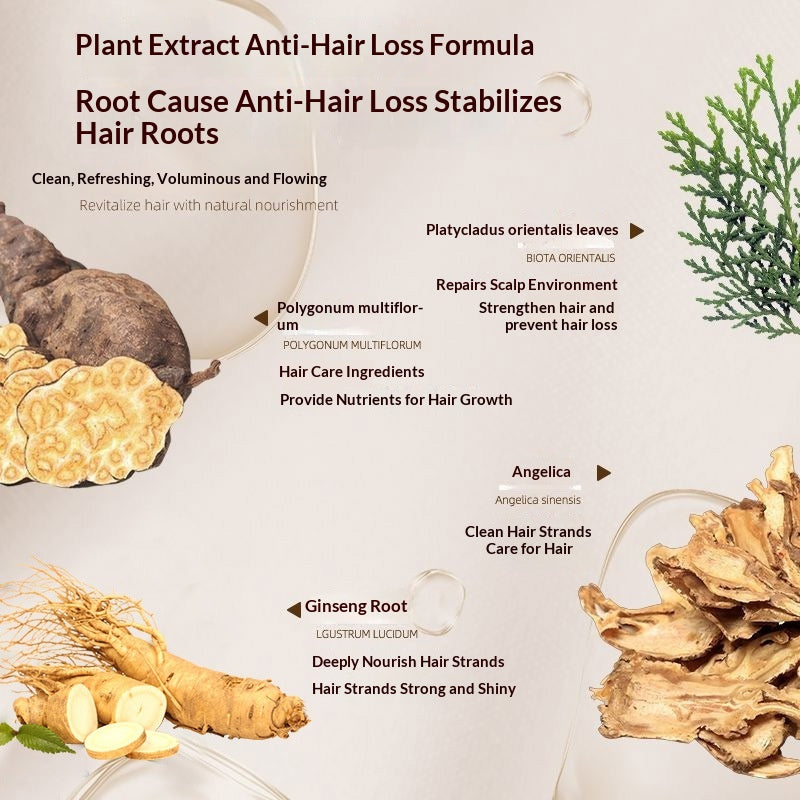 Anti-hair Loss Enhanced Oil-control And Hair-strengthening Shampoo