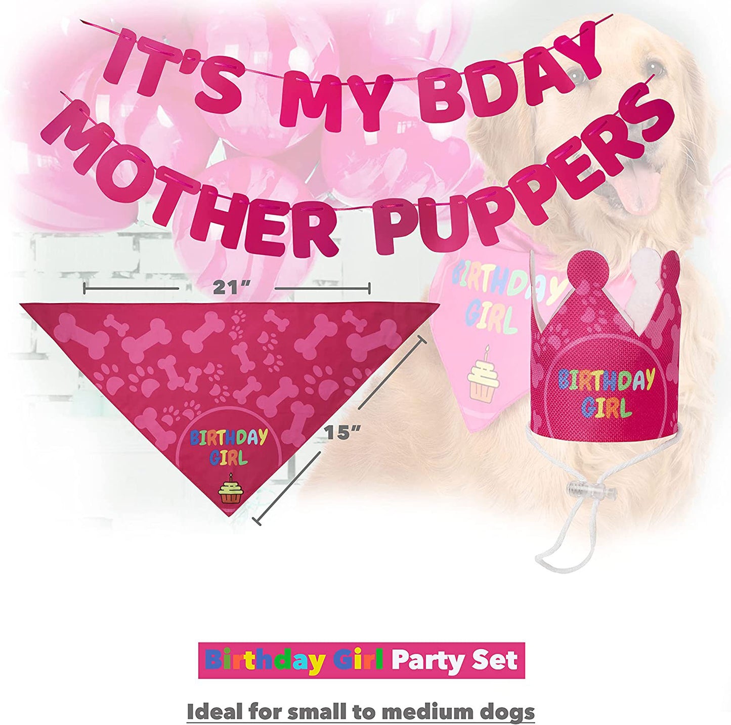 Pet Party Decorations Birthday Setup Pennant Banners