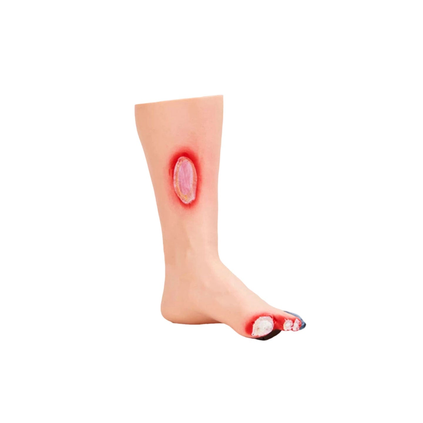 PVC Foot Care Training Model Tool