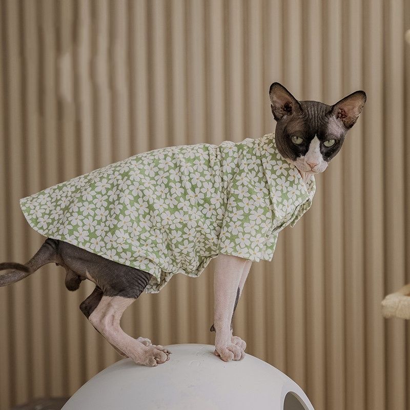 Pet Cat Kitten Beach-Style Shirt