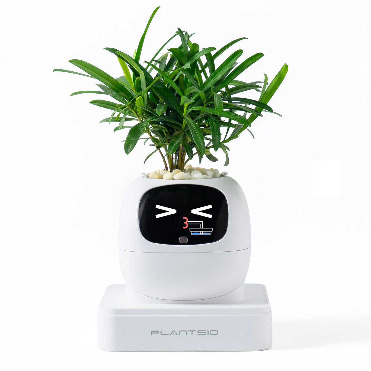 Second-generation Smart Self-watering Flower Pot Round Shape USB Rechargeable