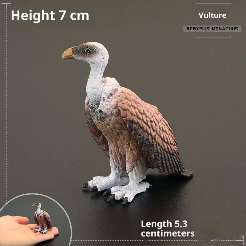Solid Children's Simulation Animal Toys Wild Birds
