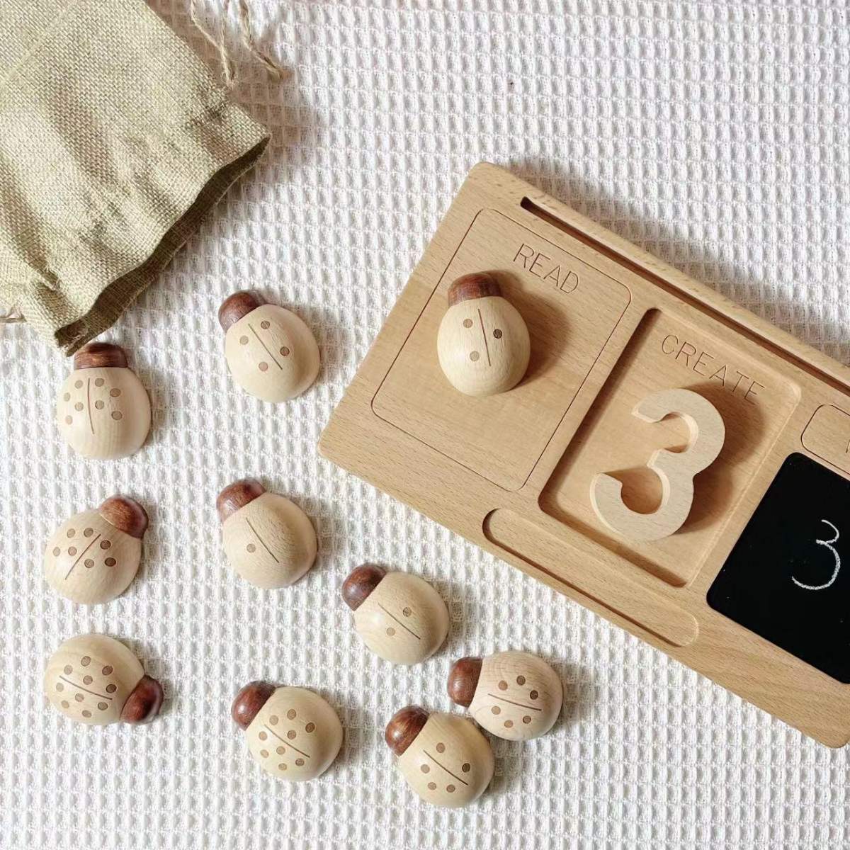Beech Ladybird With Digital Teaching Aid Toys