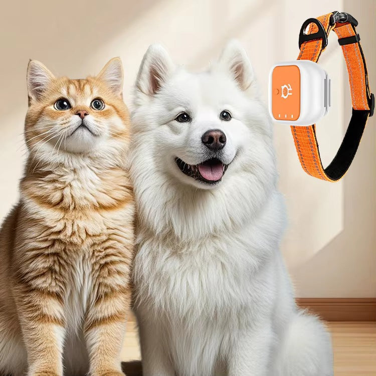 4G GPS Pet Collar Cats And Dogs Realtime GPS Tracking