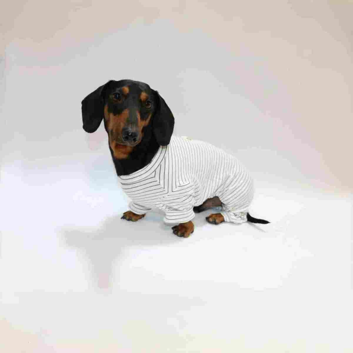 Thin Striped Dog Cat Pet Clothes