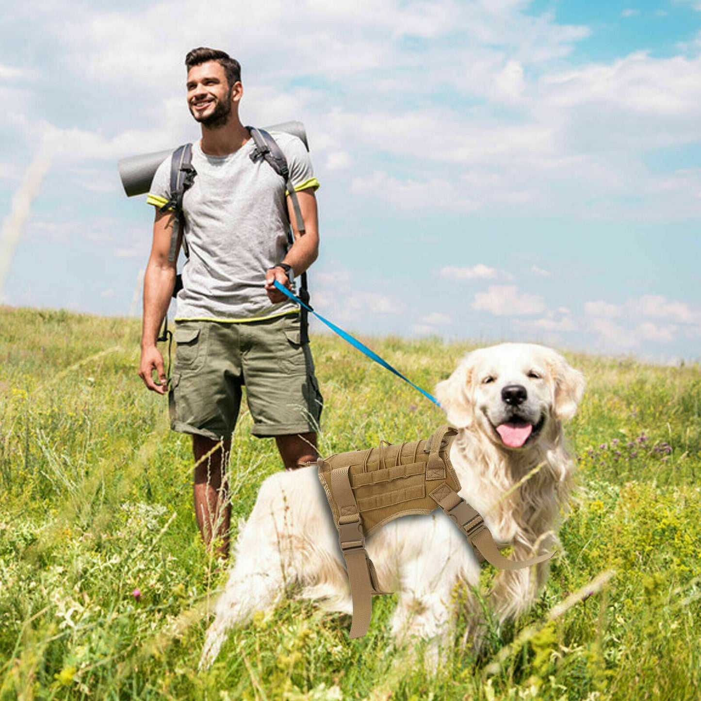 No-pull Dog Harness Pet Puppy Large Dog Vest Adjustable Padded Handle L Size AU,The Color Shipped Is The Same As The Color In The Main Picture.