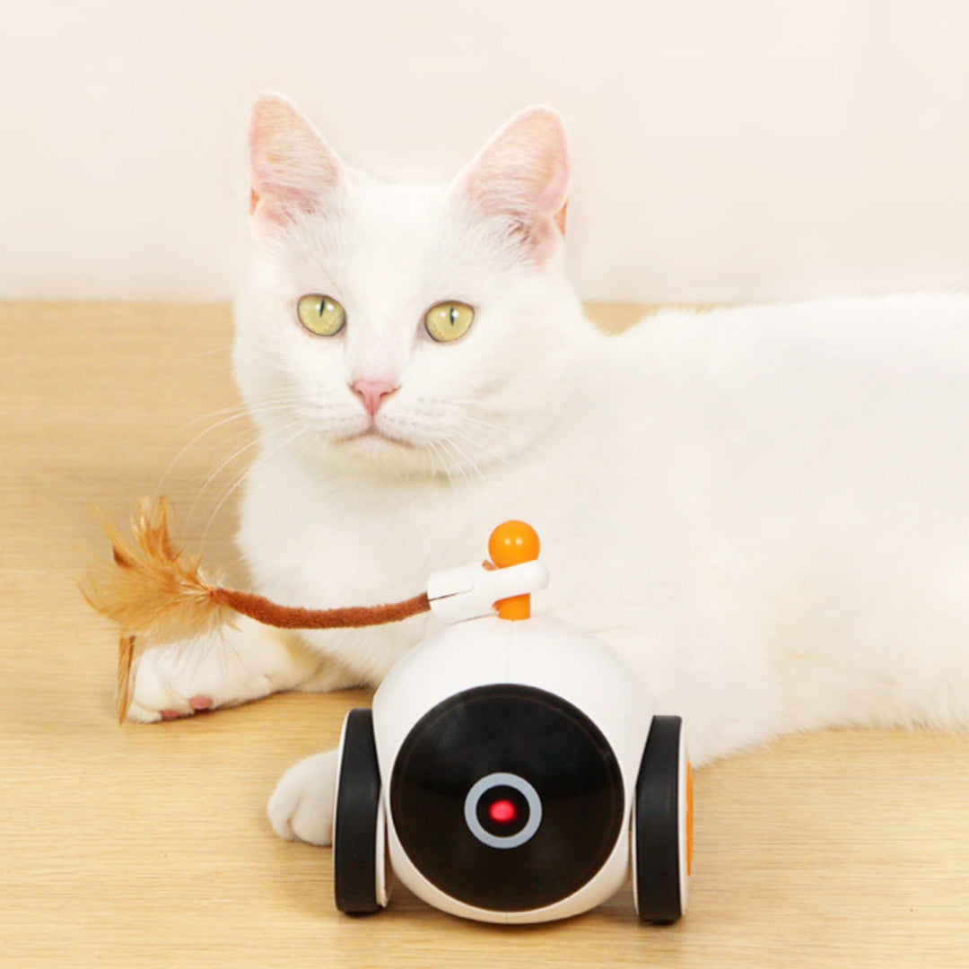 Smart Cat Toy Space Magic Wheel - Automatic Interactive Ball, USB Rechargeable