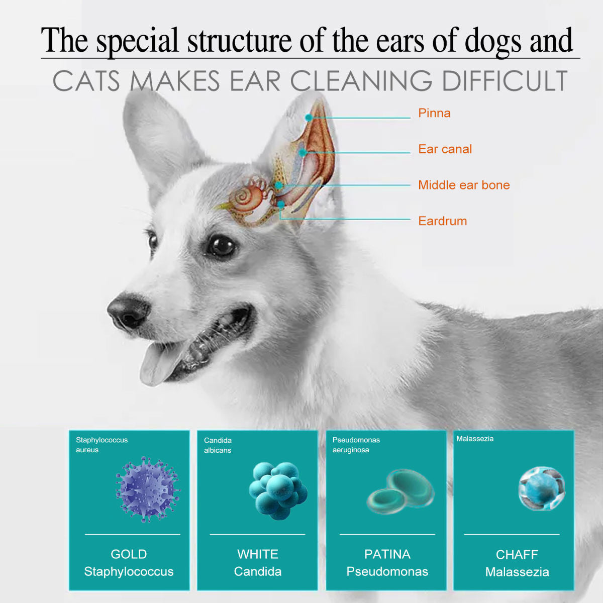 Pet Ear Drops Universal Cleaning Ear Wash For Cats And Dogs