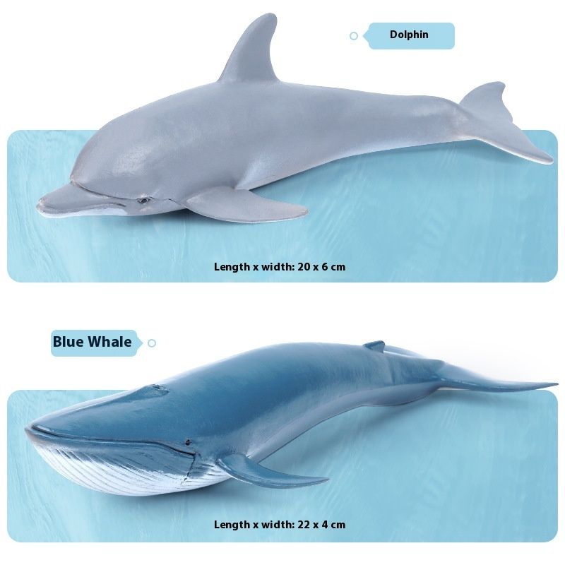 Children's Simulation Ocean Animal Model Toys