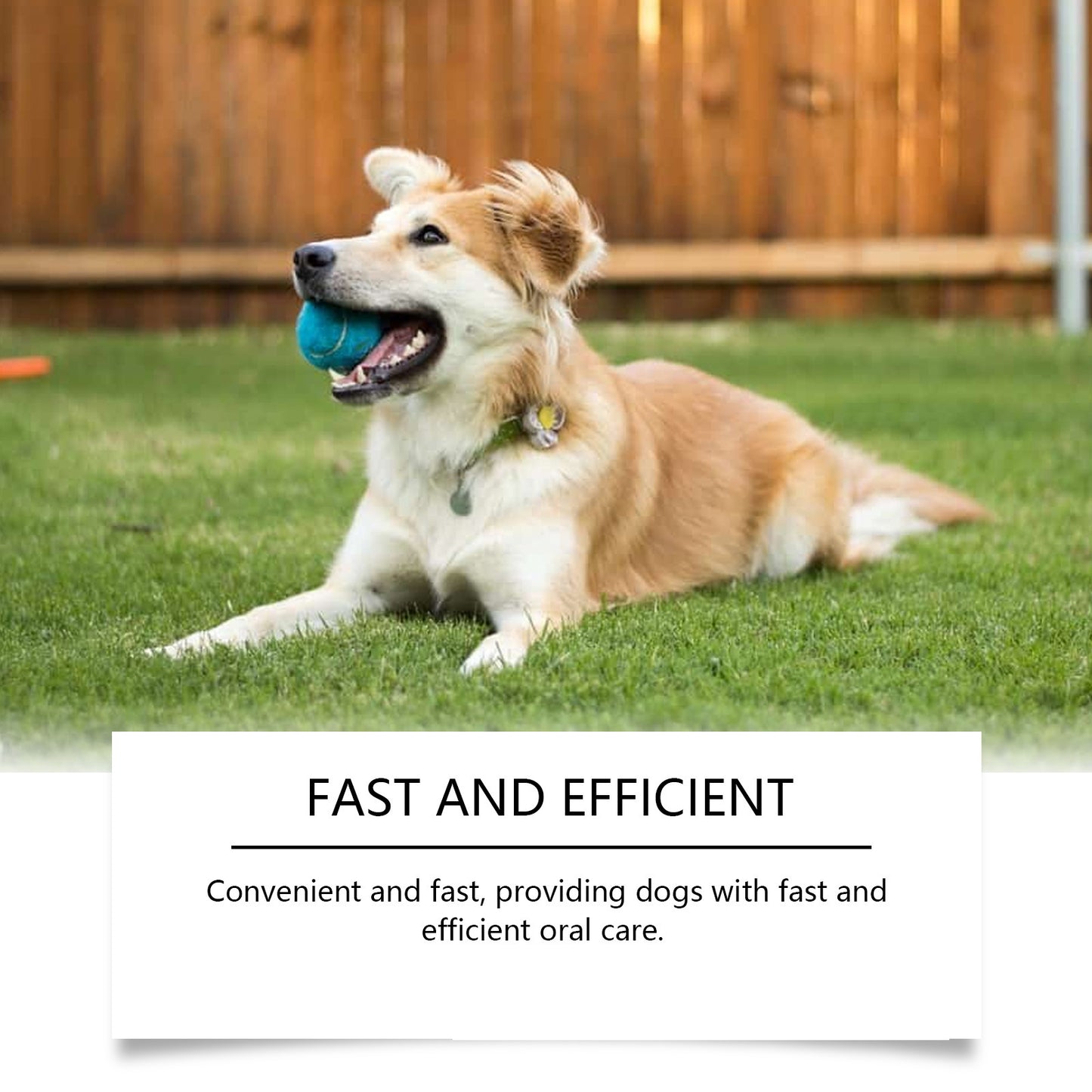 YEGBONG Pet Oral Care Water For Dogs
