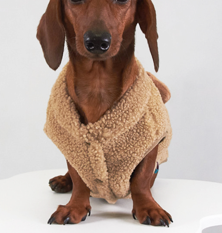 Autumn And Winter Dog Cat Pet Clothes Lambswool Vest