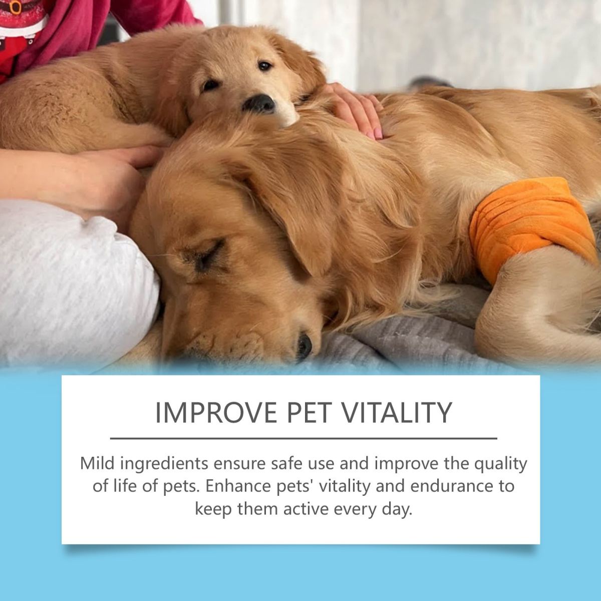 Pet Vitamin Supplement Dropsboost Immunity Enhance Vitality And Support A Healthy Diet