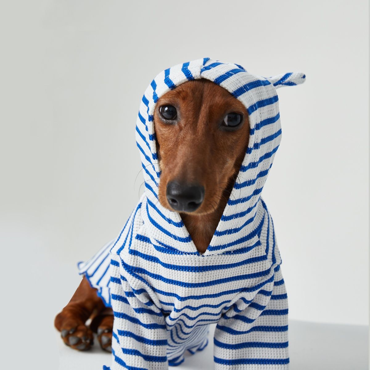 Dog Cat Pet Clothes Striped Hooded CAT Two Feet Apparel