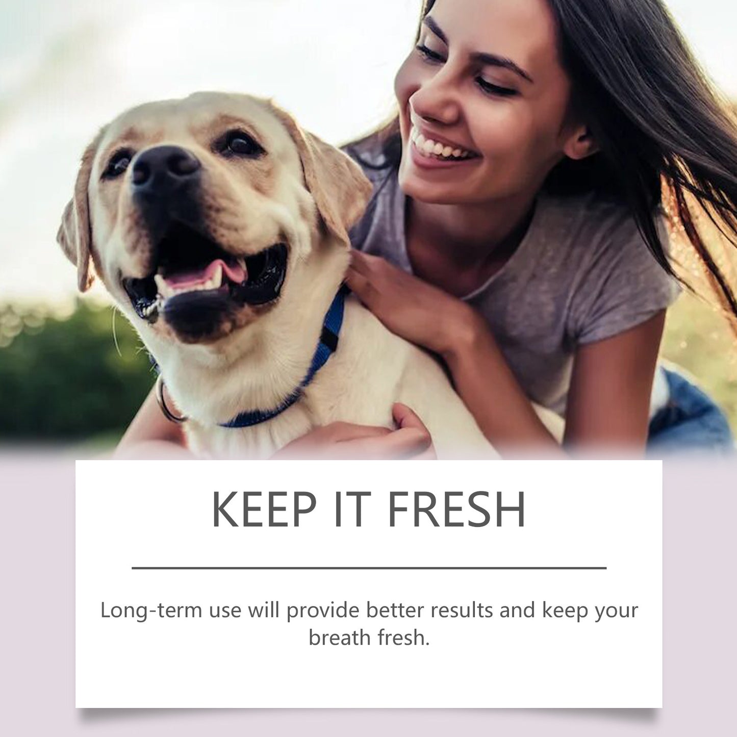 Yegbong Pet Toothbrush Pen For Dogs And Cats, Removes Tartar And Plaque, Eliminates Bad Breath And Odors, Teeth Cleaning Pen
