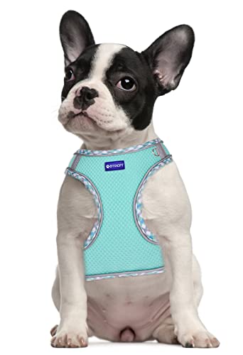 BTDCFY Step in Mesh Dog Harness and Leash Set - Breathable Air Mesh Reflective Escape Proof Vest - No Choke, Lightweight -...