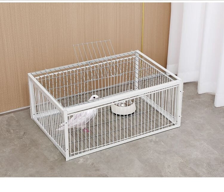 Pigeon Active Network Door Encrypted Return Cage