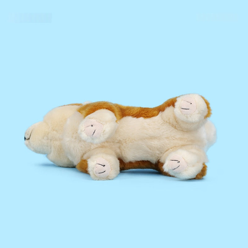 New Childrens Birthday Gift A Cute Akita Dog