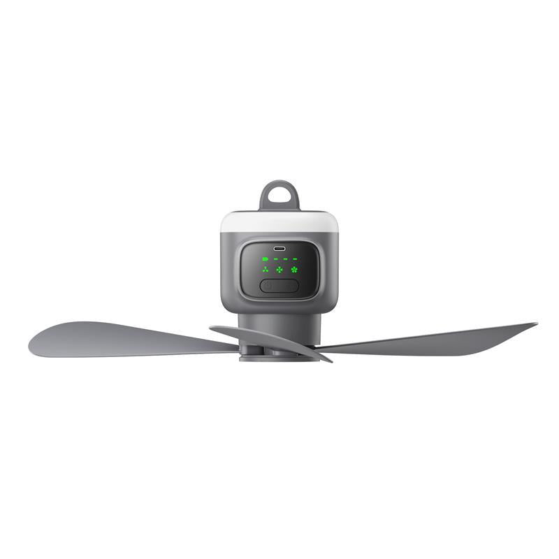 Wireless Small Ceiling Fan With USB Charging
