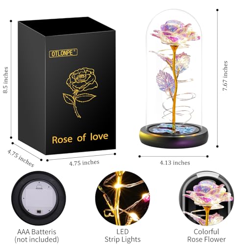 Otlonpe Preserved Forever Mothers Day Flower Gifts for Mom, Glass Light Up Rose Gifts for Women Grandma Girlfriend Wife Si...