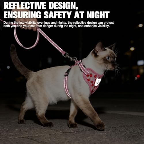 EXPAWLORER Escape Proof Cat Harness and Leash Set - Soft Breathable Vest Harness with Adjustable for Kitten Puppy Outdoor ...