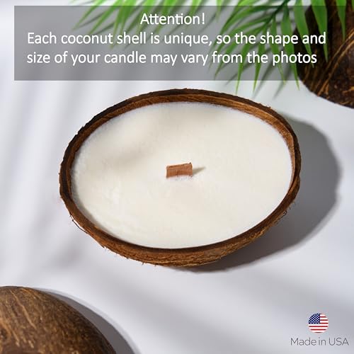 Badalyan Art Studio – Scented Candles Clearance | Coconut Shell Soy Wax Candle with Wooden Wick | Candles for Home Décor |...