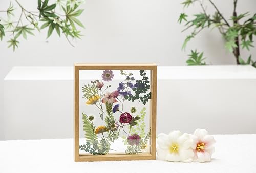 Twodays Birth Flower Mother's Day Craft Kit for Mom/Grandma - 33 Real Pressed Flowers Art DIY Set, With 8x10 Double Glass ...