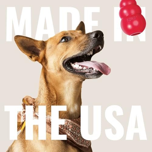 KONG Flyer - Durable Dog Toy for Outdoor Playtime - Natural Rubber Flying Disc, Dog Toy for Fetch - Safer Disc for Healthy...