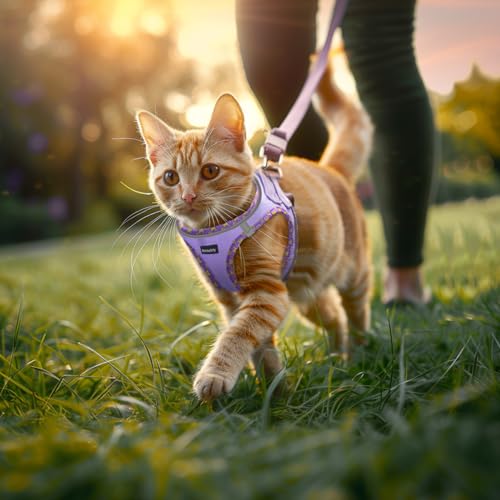 Rttochfy Cat Harness and Leash Set, Escape Proof Kitten Harness, Soft and Breathable Vest with Reflective Strip, Easy to W...