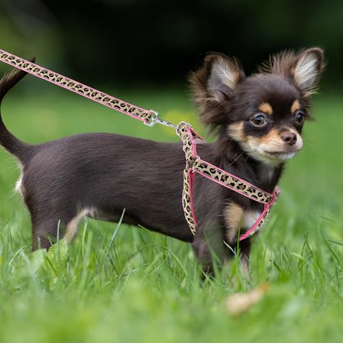Mile High Life Leopard Dog Harness Collar Leash Set, Adjustable No Pull Dog Halter Harness for Small Breed Dogs, Easy Cont...