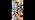 Candeldo Candle Warmer Lamp with Timer: Flower Gold Candle Lamps Height Adjustable Wax Melt House Warming Gifts New Home D...