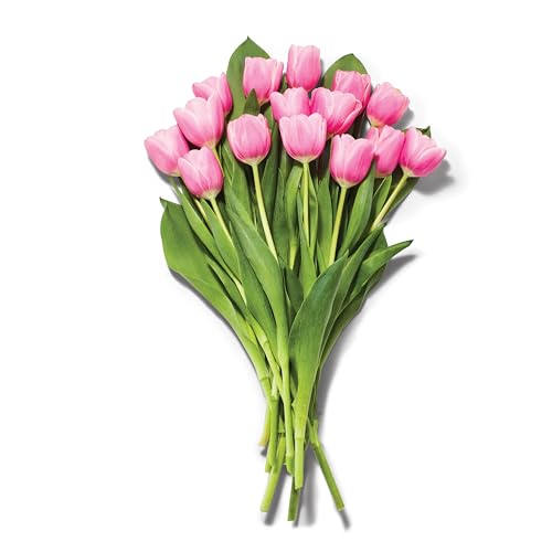 Tulips 15 Stem, Colors May Vary