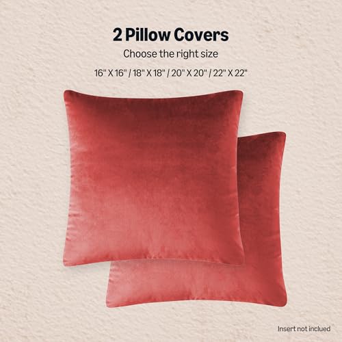Amazon Basics Velvet Throw Pillow Covers, Soft Decorative Square Cushion Cases Modern Home Decor for Sofa, Couch, Bed, 18...
