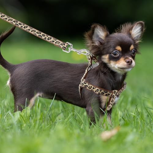 Mile High Life Leopard Dog Harness Collar Leash Set, Adjustable No Pull Dog Halter Harness for Small Breed Dogs, Easy Cont...
