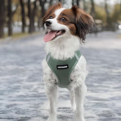 Best Pet Supplies Voyager Step-in Air Harness - All Weather Mesh, Reflective, No Pull Harness for Dogs, Cats - Secure with...