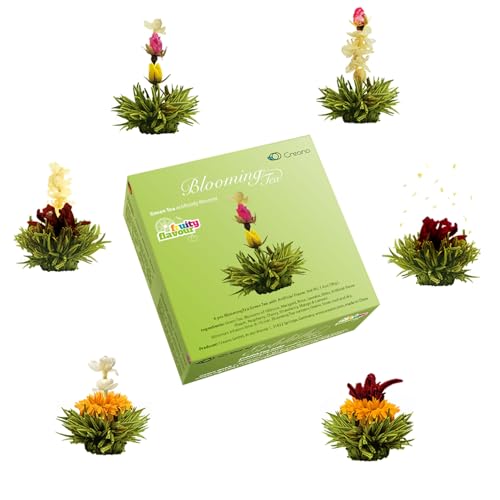 Creano Blooming Tea Gift Set with Glass Teapot 17oz (500ml) - Green Tea Fruity Flavoured Tea Flowers in 6 Varieties - Flow...