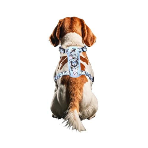 Petmolico Dog Harness and Leash Set Soft Mesh Small Dog Harnesses Vest No Pull Dog Vest Puppy Harness and Leash Set Traini...