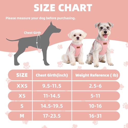 PUPTECK Dog Harness and Leash Set Small Sized, Lightweight Step-in Puppy Harness, Escape Proof No Pull Cute Pet Vest Harne...