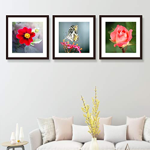 VITOIVE 20x20 Frame Black With Mat 16x16 Solid Wood Picture Frames (3 pack, 20x20 Inch)…