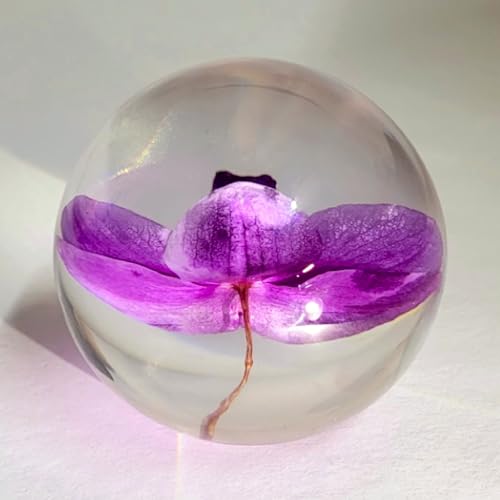 HQRP-Crystal 66mm Real Purple Orchid in Clear Lucite Resin Ball Anniversary Wedding Engagement Valentine October Birth Mon...