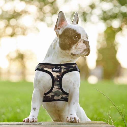 PUPTECK Dog Harness and Leash Set for Small Medium Dogs No Pull Step-in Soft Mesh Puppy Cat Vest Harnesses Reflective at N...