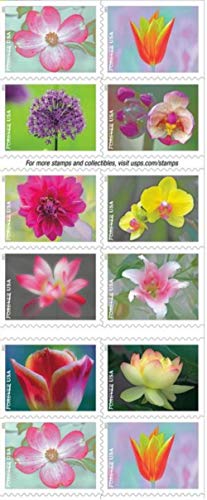 USPS Garden Beauty Forever Postage Stamps Book of 20 self-stick First Class Wedding Celebration Anniversary Flower Party (...
