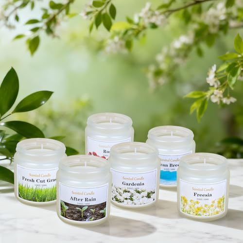 Aeraroma 6 Pack Spring Candles for Home Scented, Spring Scented Candles for Women Men, 21oz Natural Soy Wax Candle, Scente...
