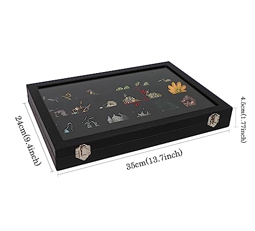 Wudygirl Jewelry Organizer Clear Lid 24 Grid Jewelry Box Case Organizer Showcase Display Jewelry Tray Removable Black Velv...