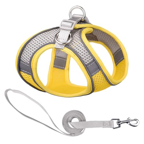 PETPUBGNZS Soft Small Dog Harness and Leash Set Mesh Puppy Harnesses Leash Easy Walk Dog Vest Adjustable Reflective No Pul...