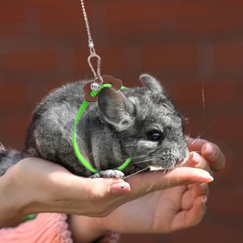HOKABLE 2 Pack Adjustable Hamster Leash Harness for Harness for Ferret Baby Rabbit Hamster Rat Mouse Leash Lead with Bell...