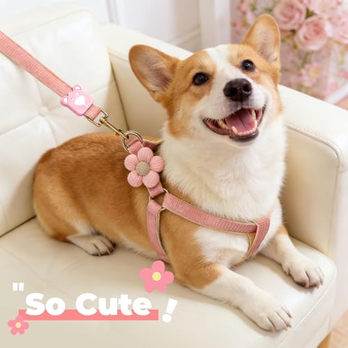 PETCARE Cute Flower Dog Harness and Bowtie Leash Set Easy Walk Puppy Dog Halter Harnesses for Small Dogs Girl Step in Dogs...