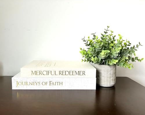 Decorative Books for Home Decor - Set of 2 Rustic Fake Faux Book Storage Boxes, Magnetic Closure, Scripture Inside, Linen ...