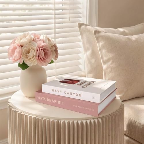 MAOBUYOU Elegant Decorative Books - Set of 2 Stylish Fake/FauxBook Boxes for Coffee Table, Bookshelf and Mantel Decor, Mod...