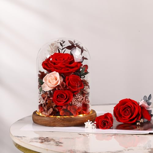 Alupssuc Forever Preserved Real Flowers for Delivery Prime, Eternal Fresh Roses in Glass Dome with LED Lights, Mothers Day...